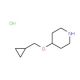 4-(Cyclopropylmethoxy)piperidinehydrochloride - chemical structure image