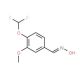 4-Difluoromethoxy-3-methoxy-benzaldehyde oxime (CAS 733796-08-2) - chemical structure image