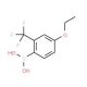 4-Ethoxy-2-(trifluoromethyl)phenylboronic acid (CAS 313545-39-0) - chemical structure image