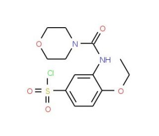 4-Ethoxy-3-[(morpholine-4-carbonyl)-amino]-benzene sulfonyl chloride - chemical structure image