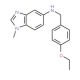 (4-Ethoxy-benzyl)-(1-methyl-1H-benzoimidazol-5-yl)-amine (CAS 337925-63-0) - chemical structure image