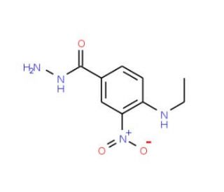 4-Ethylamino-3-nitro-benzoic acid hydrazide - chemical structure image