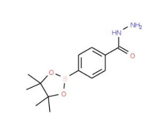 4-(Hydrazinecarbonyl)phenylboronic acid, pinacol ester (CAS 276694-16-7) - chemical structure image