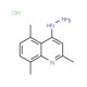 4-Hydrazino-2,5,8-trimethylquinoline hydrochloride (CAS 1172431-20-7) - chemical structure image