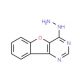 4-hydrazino[1]benzofuro[3,2-d]pyrimidine (CAS 65024-00-2) - chemical structure image