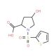 4-Hydroxy-1-(2-thienylsulfonyl)-2-pyrrolidinecarboxylic acid - chemical structure image