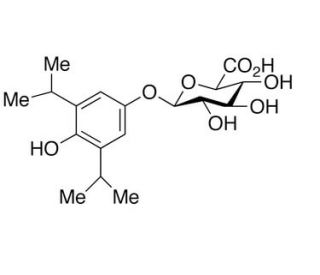 4 Hydroxy Propofol 4 O B D Glucuronide Cas 78 2 Scbt Santa Cruz Biotechnology