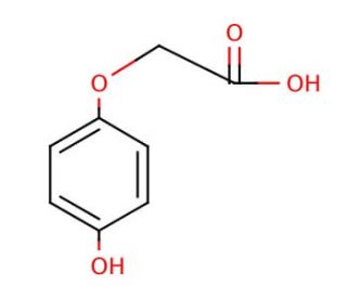 (4-Hydroxyphenoxy)acetic acid (CAS 1878-84-8) - chemical structure image