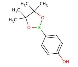 4-Hydroxyphenylboronic acid pinacol ester (CAS 269409-70-3) - chemical structure image