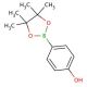 4-Hydroxyphenylboronic acid pinacol ester (CAS 269409-70-3) - chemical structure image