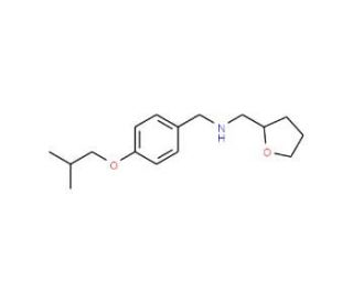 (4-Isobutoxyphenyl)-N-(tetrahydro-2-furanylmethyl)methanamine - chemical structure image