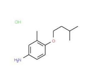 4-(Isopentyloxy)-3-methylaniline hydrochloride - chemical structure image