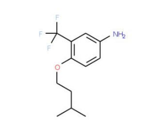 4-(Isopentyloxy)-3-(trifluoromethyl)aniline - chemical structure image