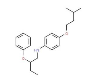 4-(Isopentyloxy)-N-(2-phenoxybutyl)aniline - chemical structure image
