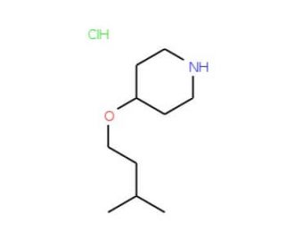4-(Isopentyloxy)piperidine hydrochloride - chemical structure image