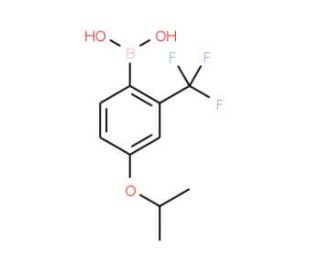 4-Isopropoxy-2-(trifluoromethyl)phenylboronic acid (CAS 313545-40-3) - chemical structure image