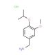 (4-Isopropoxy-3-methoxyphenyl)methanaminehydrochloride - chemical structure image