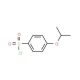 4-Isopropoxybenzenesulfonyl chloride (CAS 98995-40-5) - chemical structure image