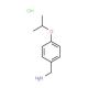 (4-Isopropoxyphenyl)methanamine hydrochloride (CAS 100131-60-0) - chemical structure image