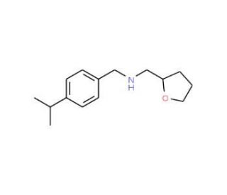 (4-Isopropyl-benzyl)-(tetrahydro-furan-2-yl-methyl)-amine (CAS 436096-82-1) - chemical structure image