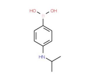 4-(Isopropylamino)benzeneboronic acid (CAS 219945-56-9) - chemical structure image