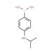 4-(Isopropylamino)benzeneboronic acid (CAS 219945-56-9) - chemical structure image