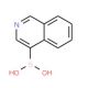 4-Isoquinolineboronic acid (CAS 192182-56-2) - chemical structure image