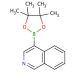 4-Isoquinolineboronic acid pinacol ester (CAS 685103-98-4) - chemical structure image