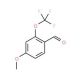 4-Methoxy-2-(trifluoromethoxy)benzaldehyde (CAS 886503-52-2) - chemical structure image