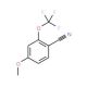 4-Methoxy-2-(trifluoromethoxy)benzonitrile - chemical structure image