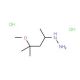 (4-methoxy-4-methylpentan-2-yl)hydrazine dihydrochloride - chemical structure image