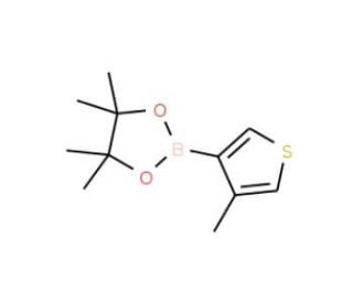 4-Methyl-3-thiopheneboronic acid pinacol ester (CAS 476620-20-9) - chemical structure image