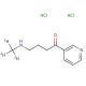 4-(Methyl-d3-amino)-1-(3-pyridyl)-1-butanone Dihydrochloride (CAS 1189727-40-9) - chemical structure image