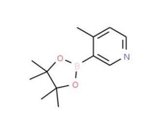4-Methylpyridine-3-boronic acid pinacol ester - chemical structure image