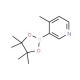 4-Methylpyridine-3-boronic acid pinacol ester - chemical structure image