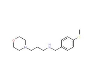 (4-Methylsulfanyl-benzyl)-(3-morpholin-4-yl-propyl)-amine - chemical structure image