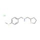 (4-Methylsulfanyl-benzyl)-(tetrahydro-furan-2-ylmethyl)-amine hydrochloride - chemical structure image