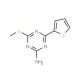 4-(Methylthio)-6-(2-thienyl)-1,3,5-triazin-2-amine (CAS 175204-61-2) - chemical structure image