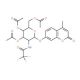 4-Methylumbelliferyl 2-Trifluoroacetyl-3,4,6-O-triacetyl-2-deoxy-β-D-glucopyranoside (CAS 137686-93-2) - chemical structure i