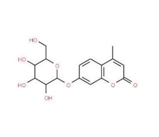 4-Methylumbelliferyl-β-D-glucopyranoside | CAS 18997-57-4 | SCBT ...