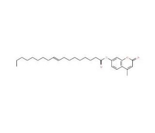 4-Methylumbelliferyl elaidate (CAS 69003-01-6) - chemical structure image