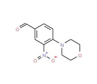 4-morpholin-4-yl-3-nitrobenzaldehyde (CAS 300541-91-7) - chemical structure image