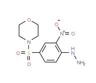 [4-(Morpholine-4-sulfonyl)-2-nitro-phenyl]-hydrazine - chemical structure image
