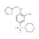 Structure moléculaire de 4-(Morpholine-4-sulfonyl)-N*1*-(tetrahydro-furan-2-ylmethyl)-benzene-1,2-diamine 4-(Morpholine-4-sulfonyl)-N*1*-(tetrahydro-furan-2-ylmethyl)-benzene-1,2-diamine - chemical structure image