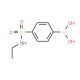 4-(N-Ethylsulphonamido)benzeneboronic acid (CAS 871329-65-6) - chemical structure image