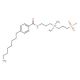 4-n-Octylbenzoylamido-propyl-dimethylammoniosulfobetaine (CAS 216667-49-1) - chemical structure image