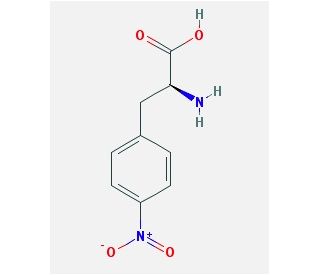4-Nitro-L-phenylalanine (CAS 949-99-5) - chemical structure image