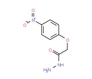 4-Nitrophenoxyacetic acid hydrazide (CAS 75129-74-7) - chemical structure image