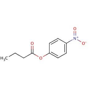 4-Nitrophenyl butyrate | CAS 2635-84-9 | SCBT - Santa Cruz Biotechnology