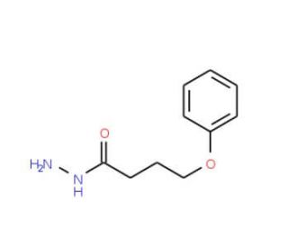 4-Phenoxybutanohydrazide - chemical structure image